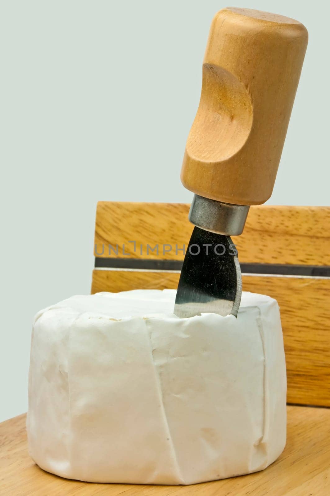 Cheese