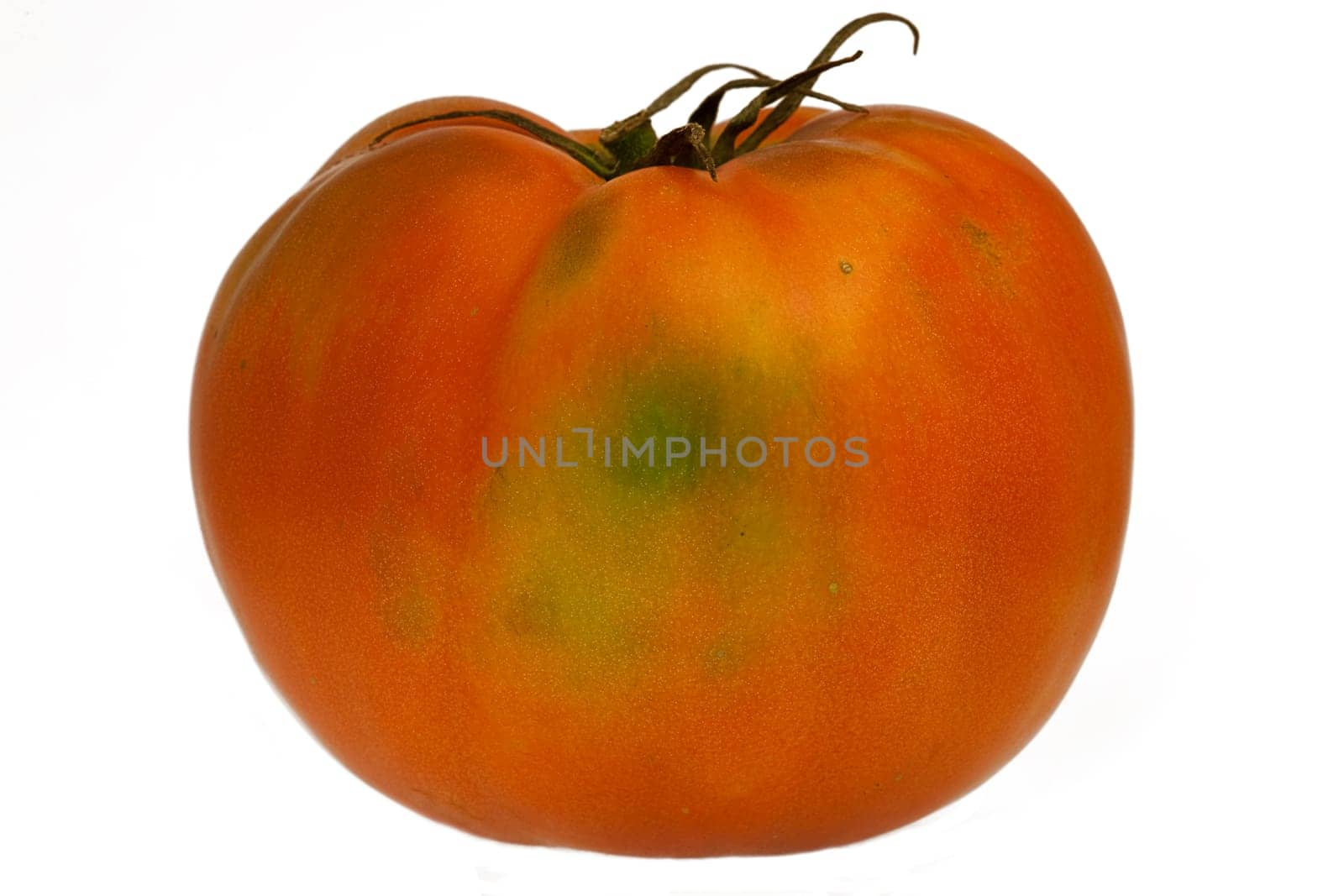 Organic Tomato Isolate with white backg
