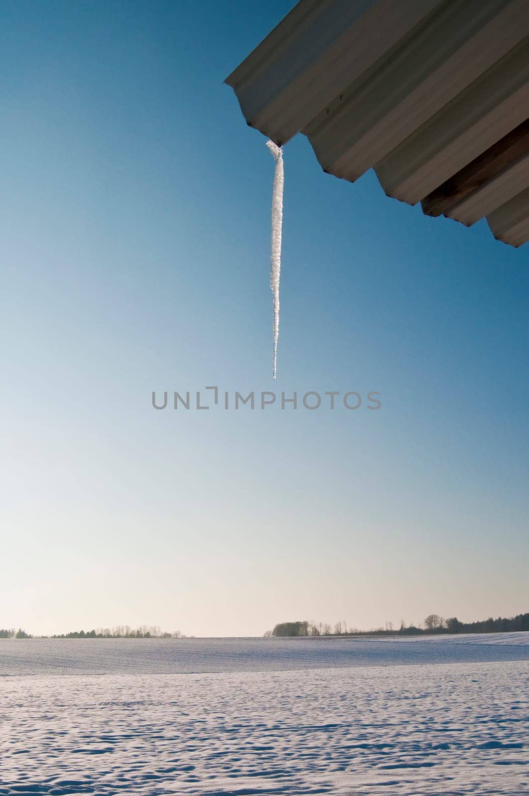 winter or winter snow or winter ice or winter deep snow