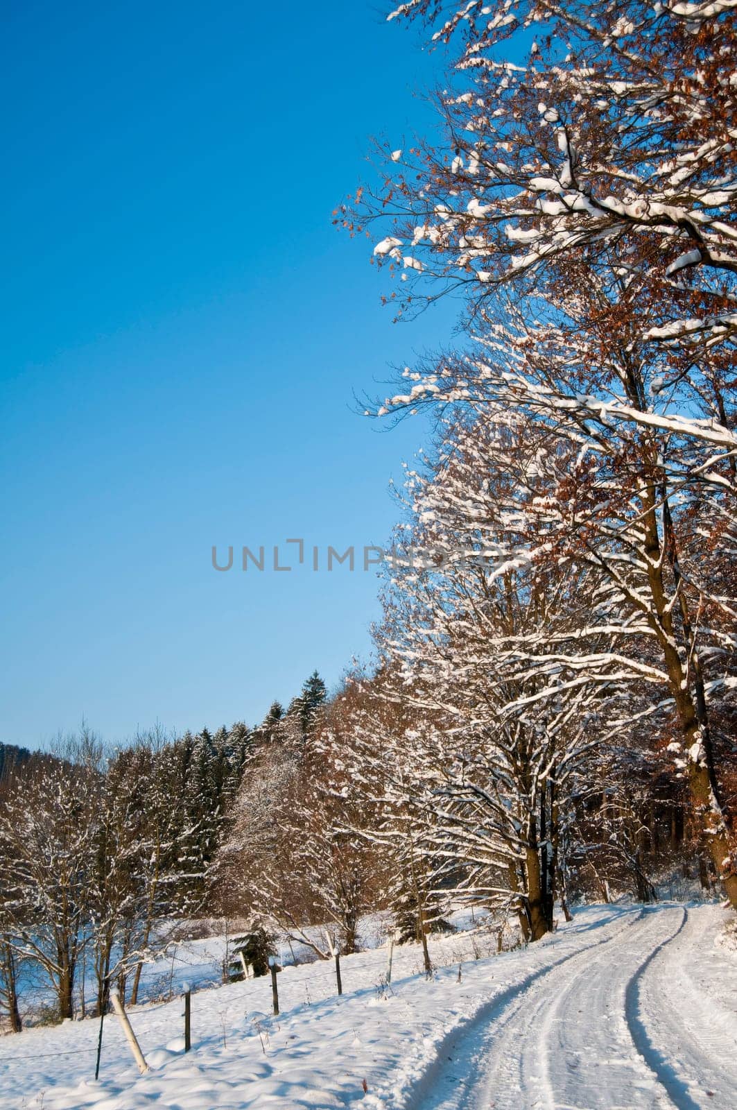 winter or winter snow or winter ice or winter deep snow
