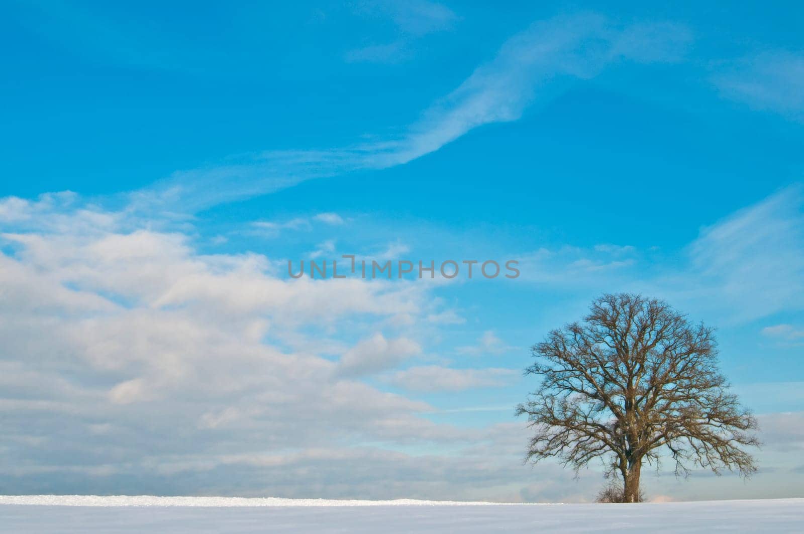 winter or winter snow or winter ice or winter deep snow