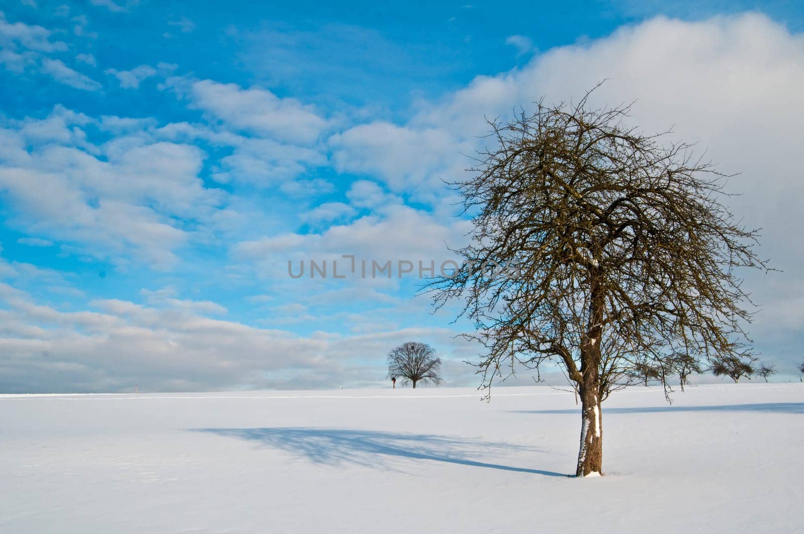 winter or winter snow or winter ice or winter deep snow