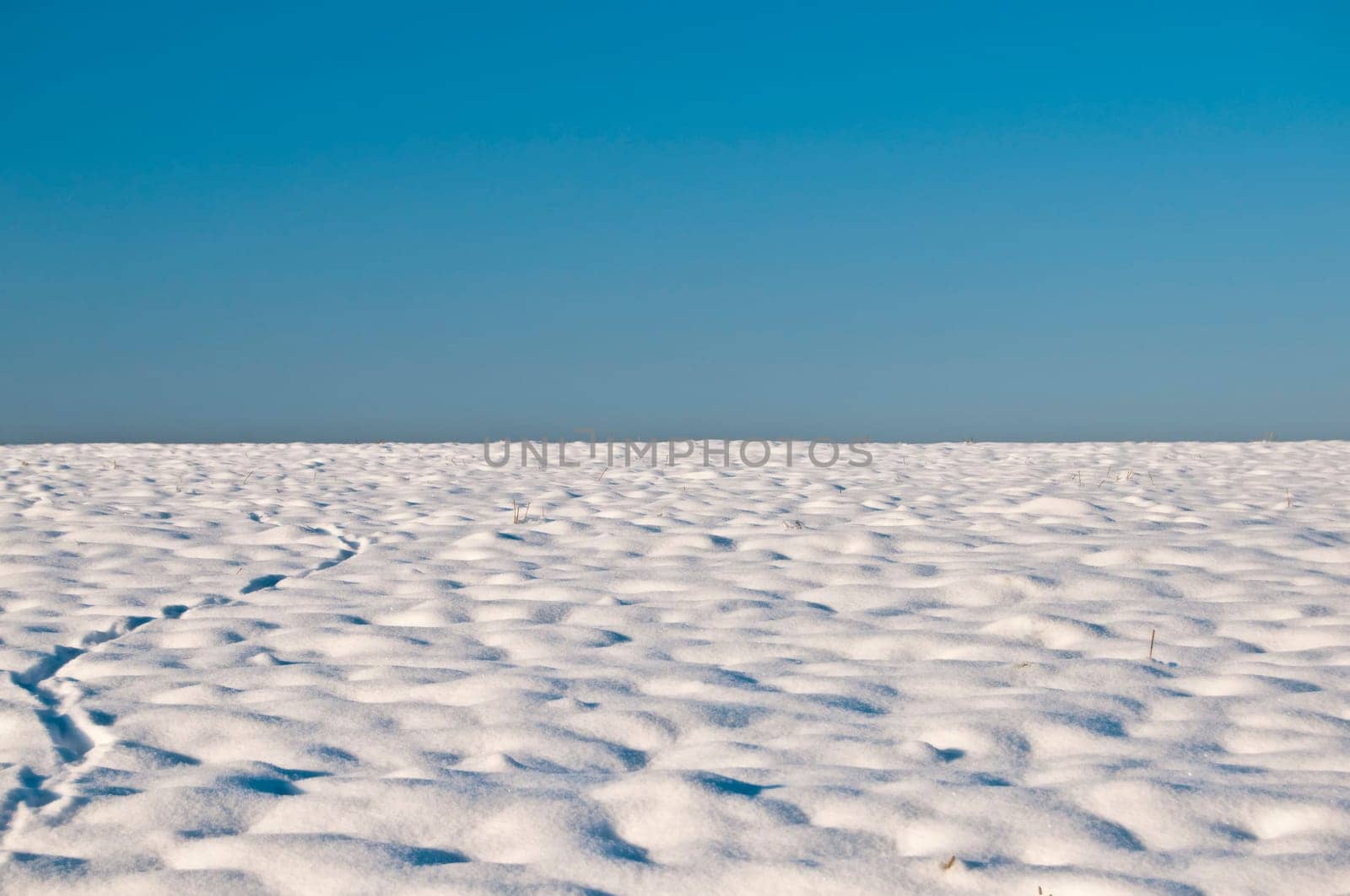 winter or winter snow or winter ice or winter deep snow