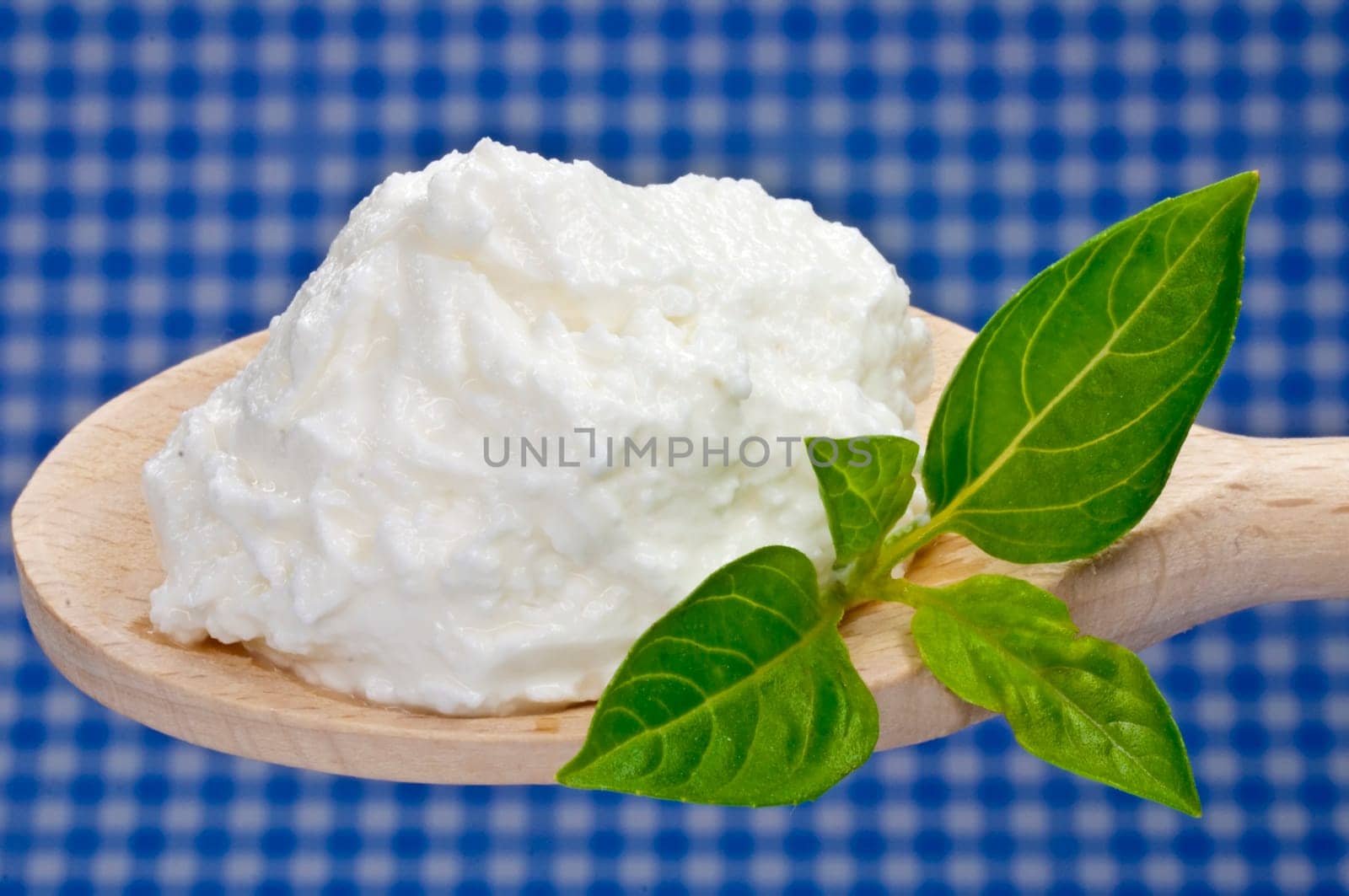 Fresh goat cheese