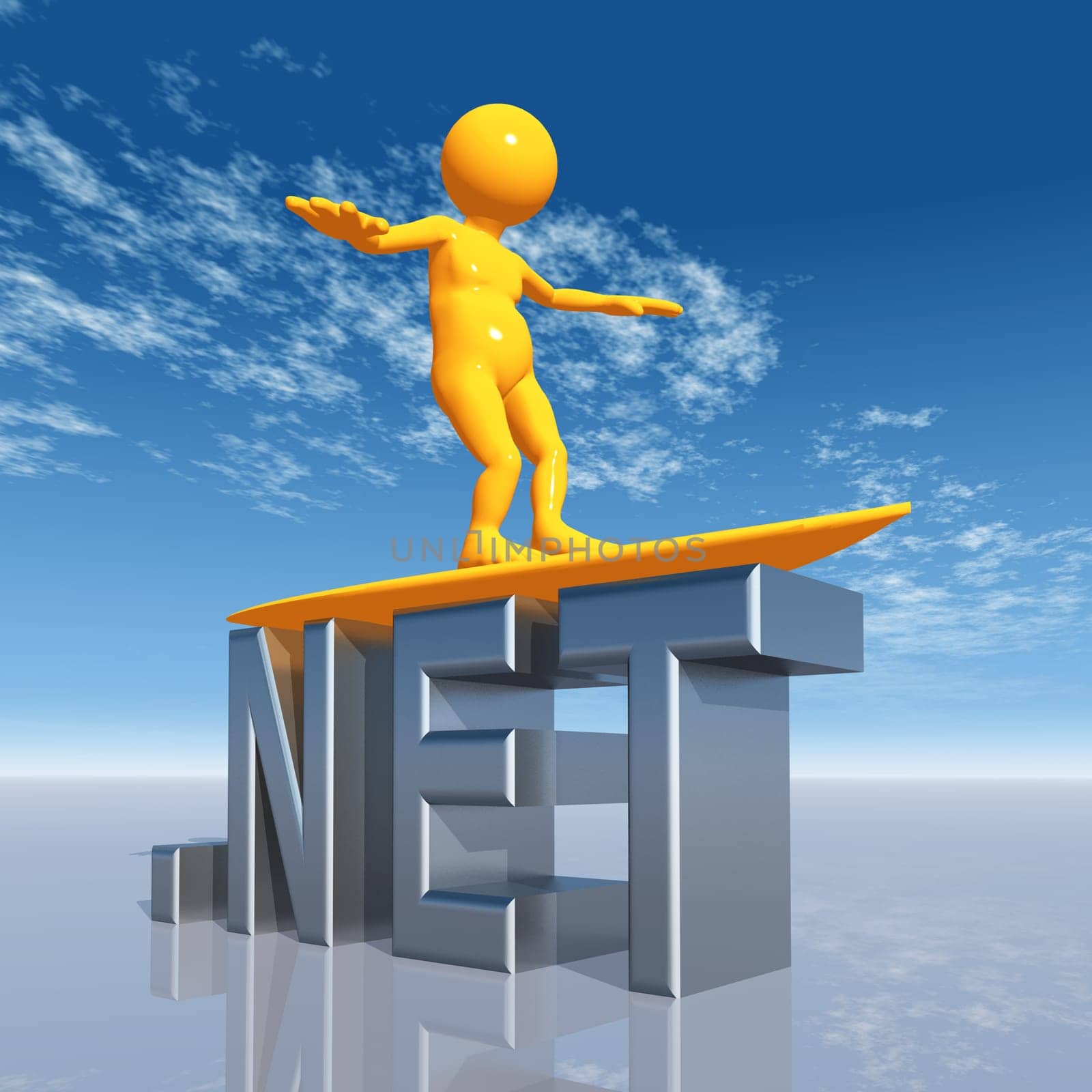 NET Top Level Domain