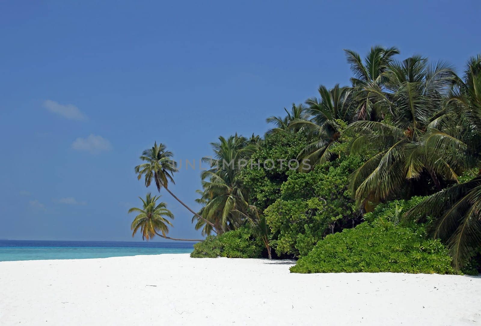 Maldives Island