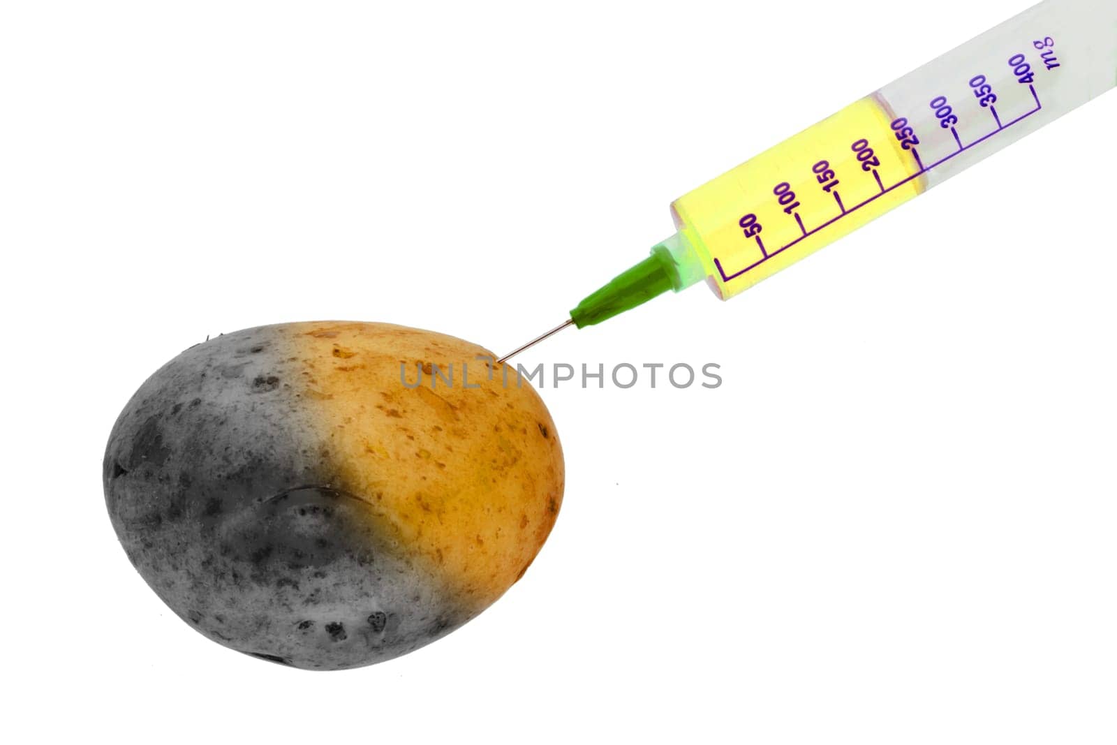 GM potato