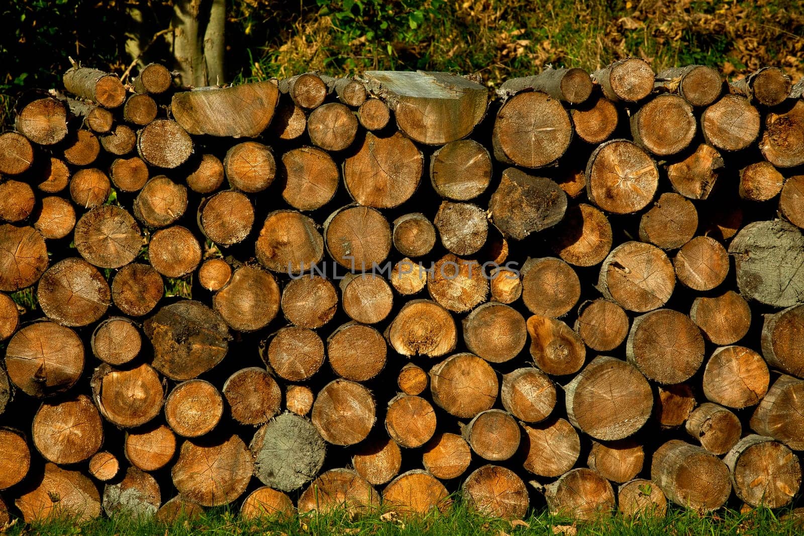 Wood.....