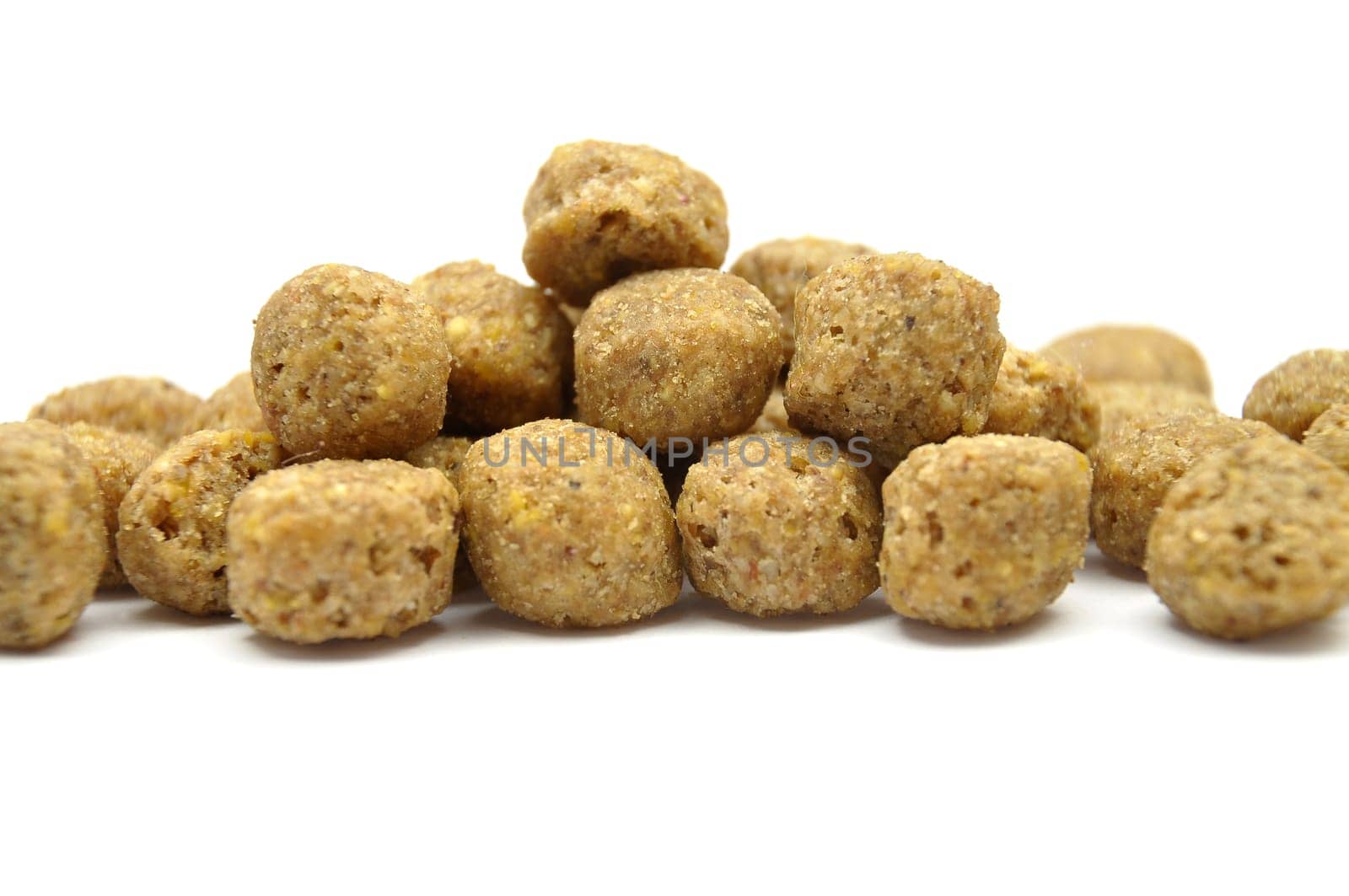 Dog food