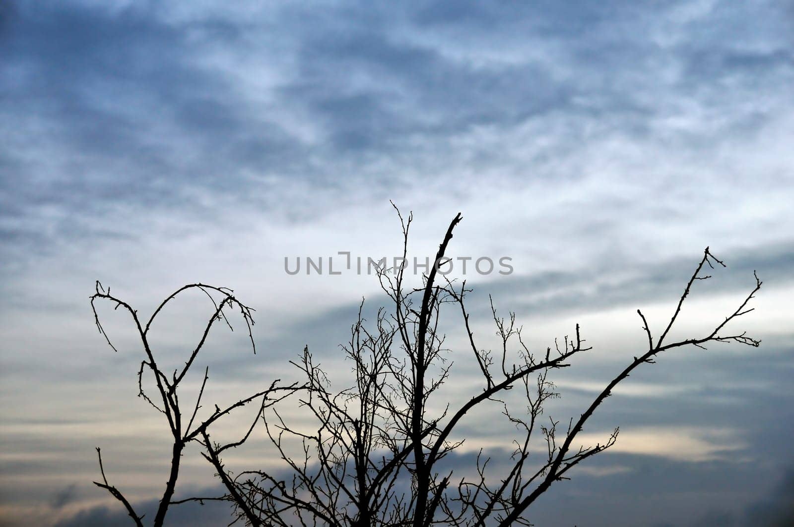 sunset cloudscape
