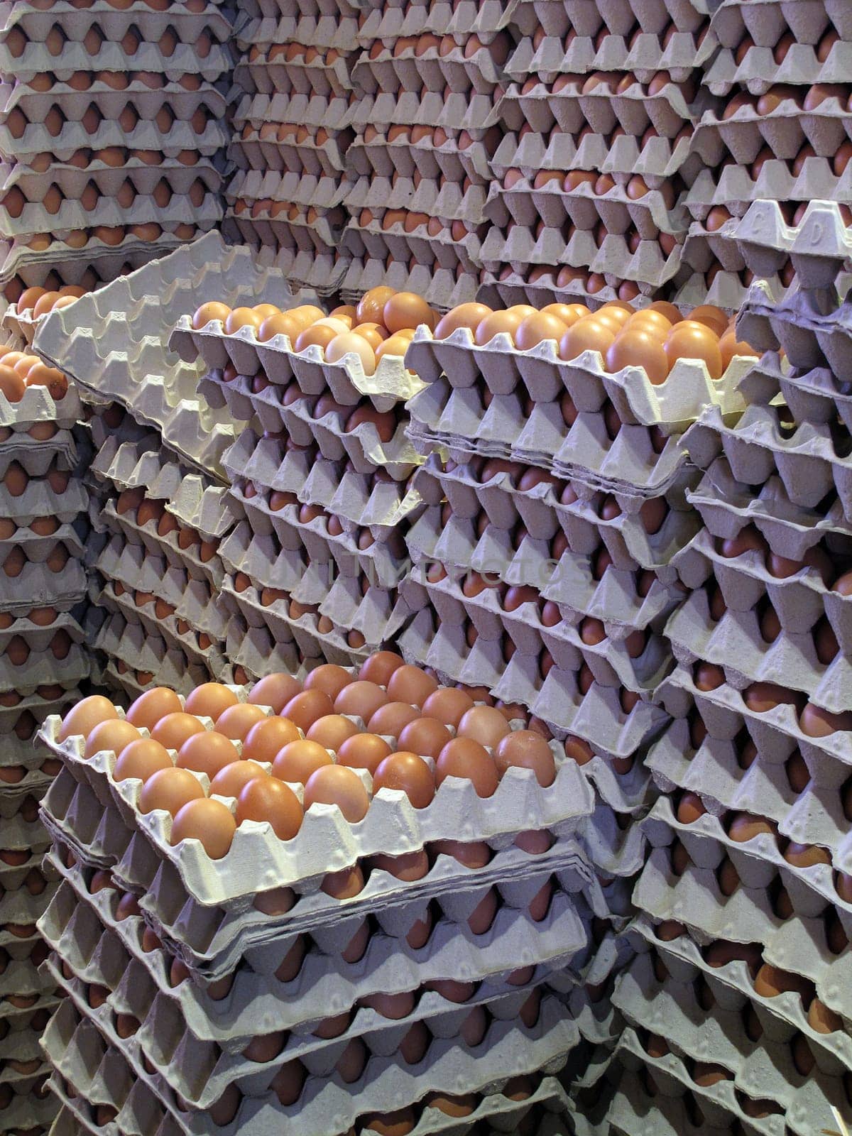 Eggs Mass Production