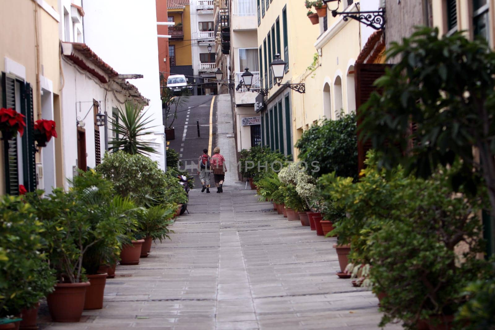 Alley in Puerto de la Cruz