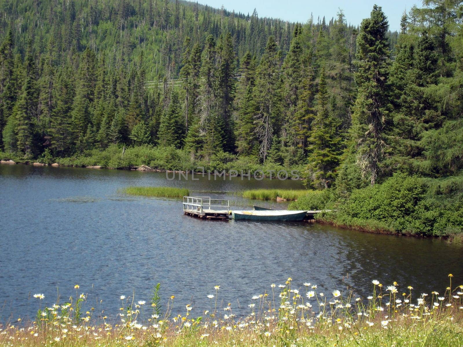 wilLAKE VIEW IN QUEBEC