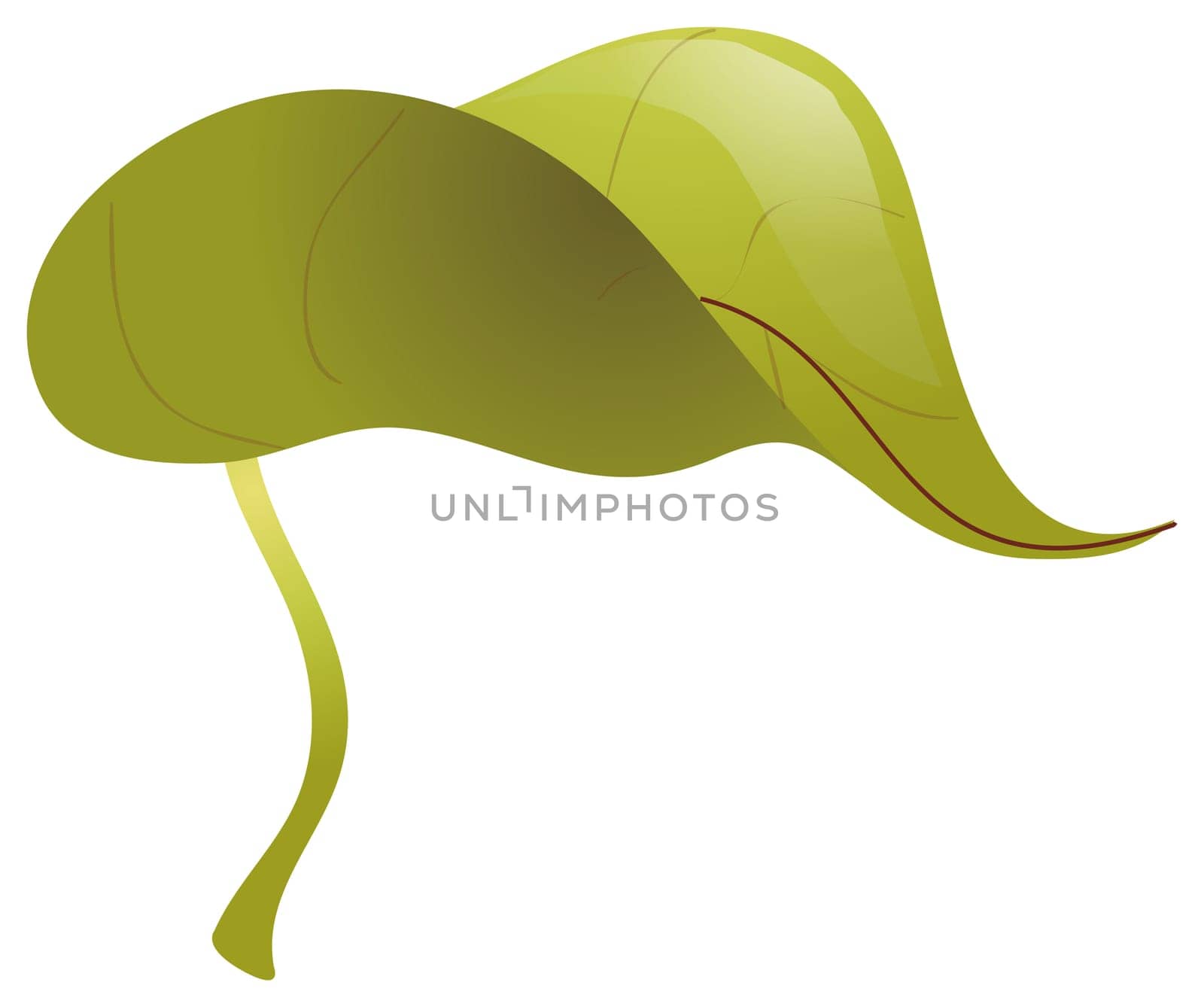 leaf