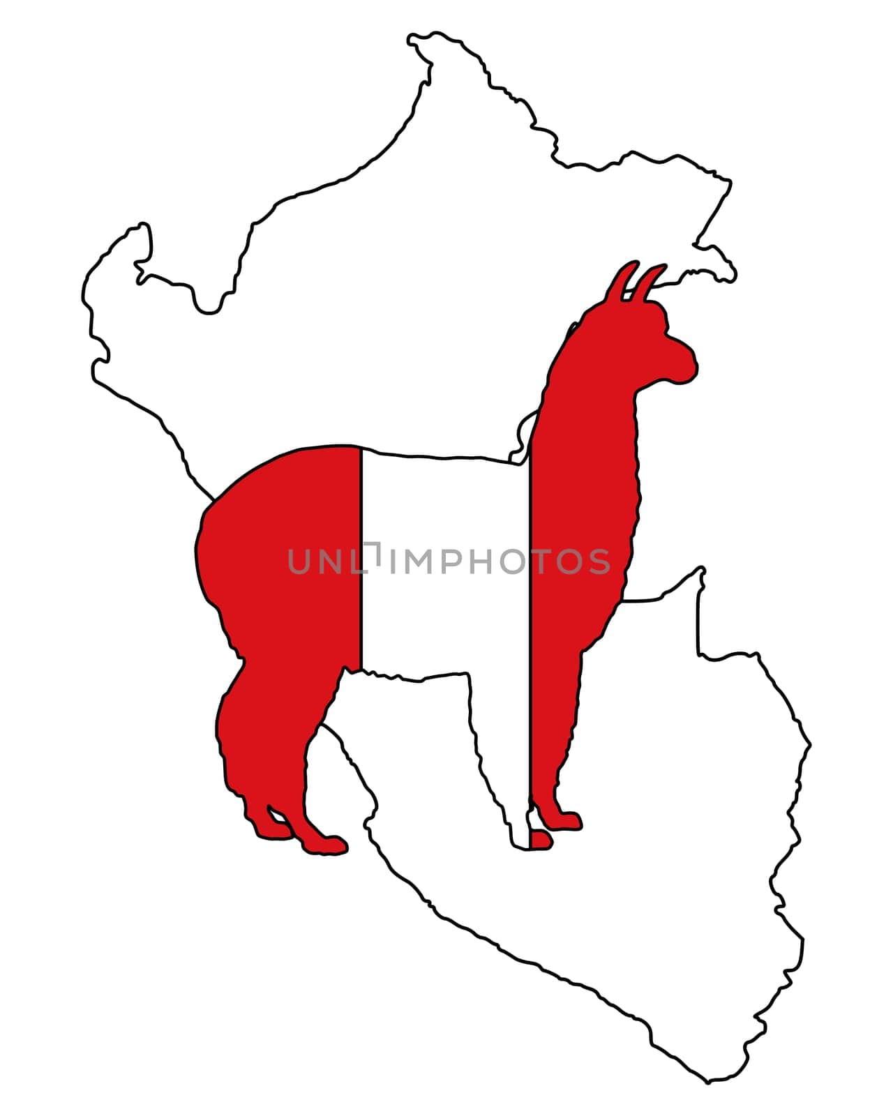 Peruvian Alpaca