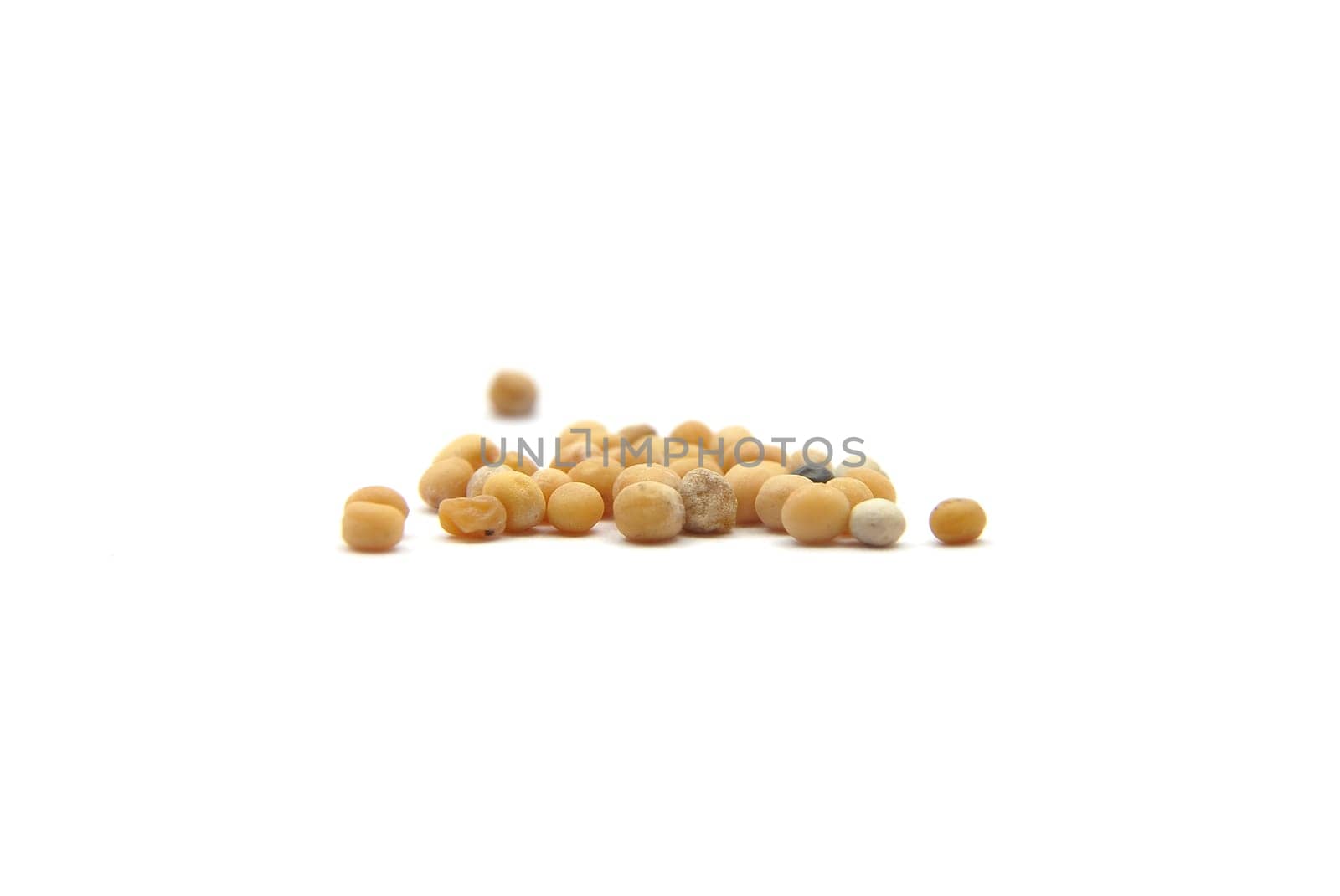 Mustard seeds on white