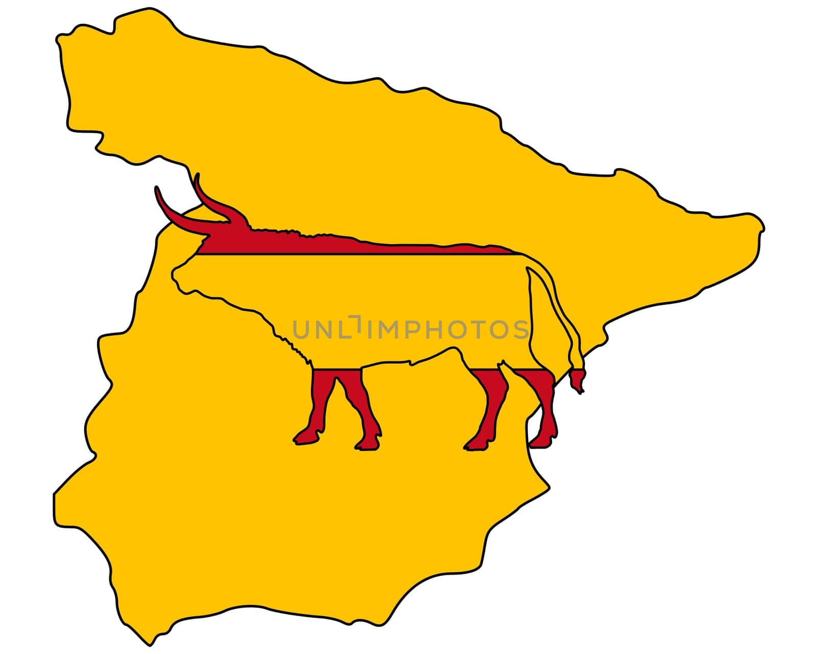 Spanish Bull