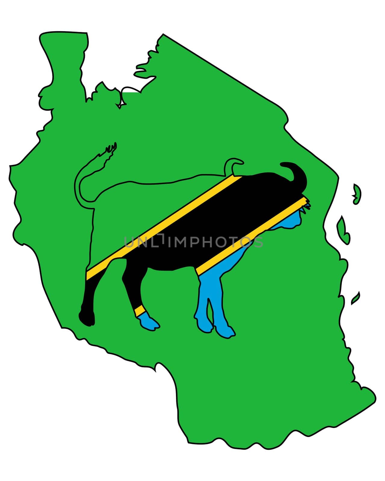 Tanzania Buffalo