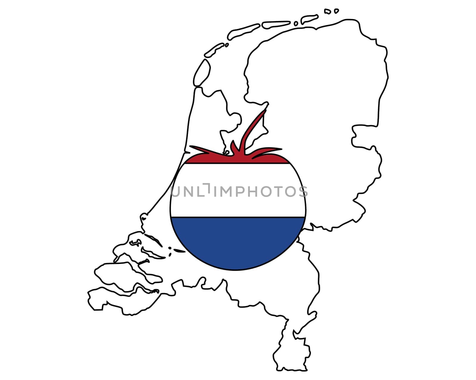 Dutch Tomato