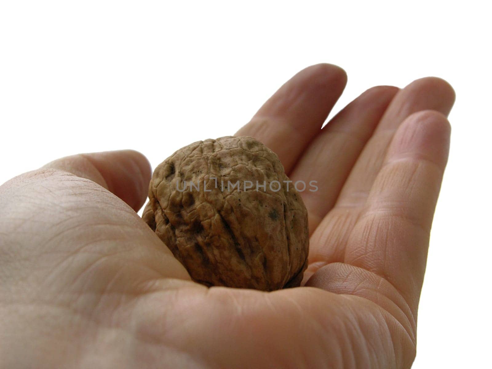 A walnut on the palm of your hand