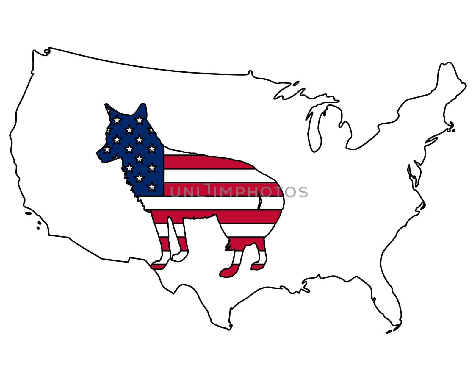 Coyote USA