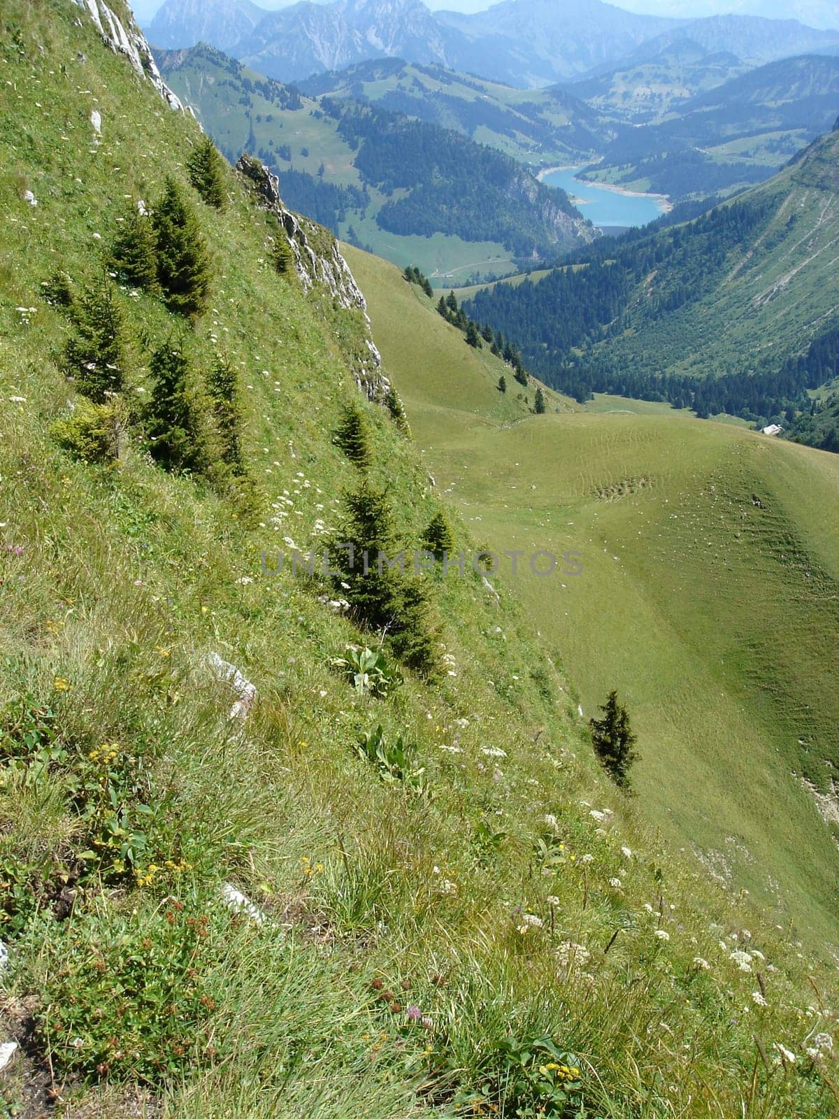 Lake in the Alps by summer
