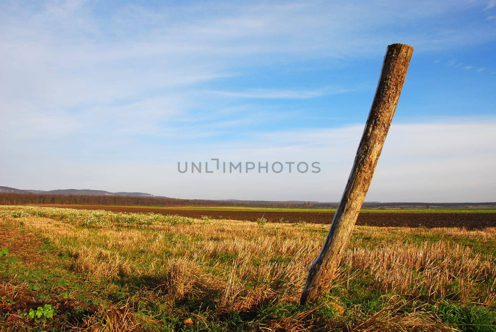 Wide landscape