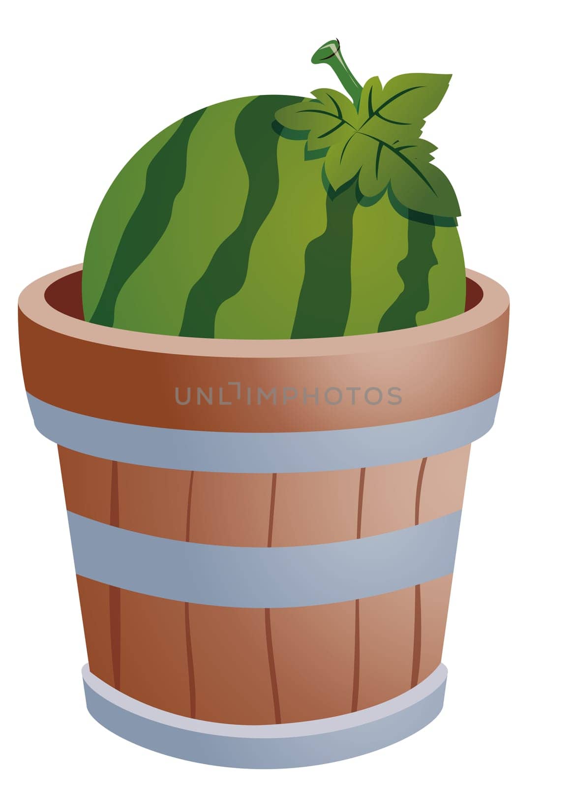 watermelon