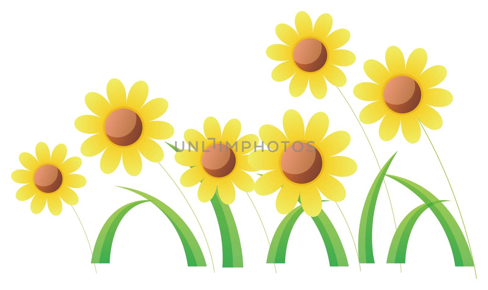 yellow wild flower