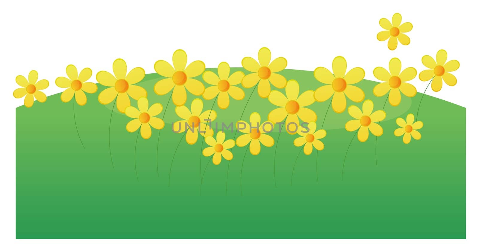 yellow flower and green lawn