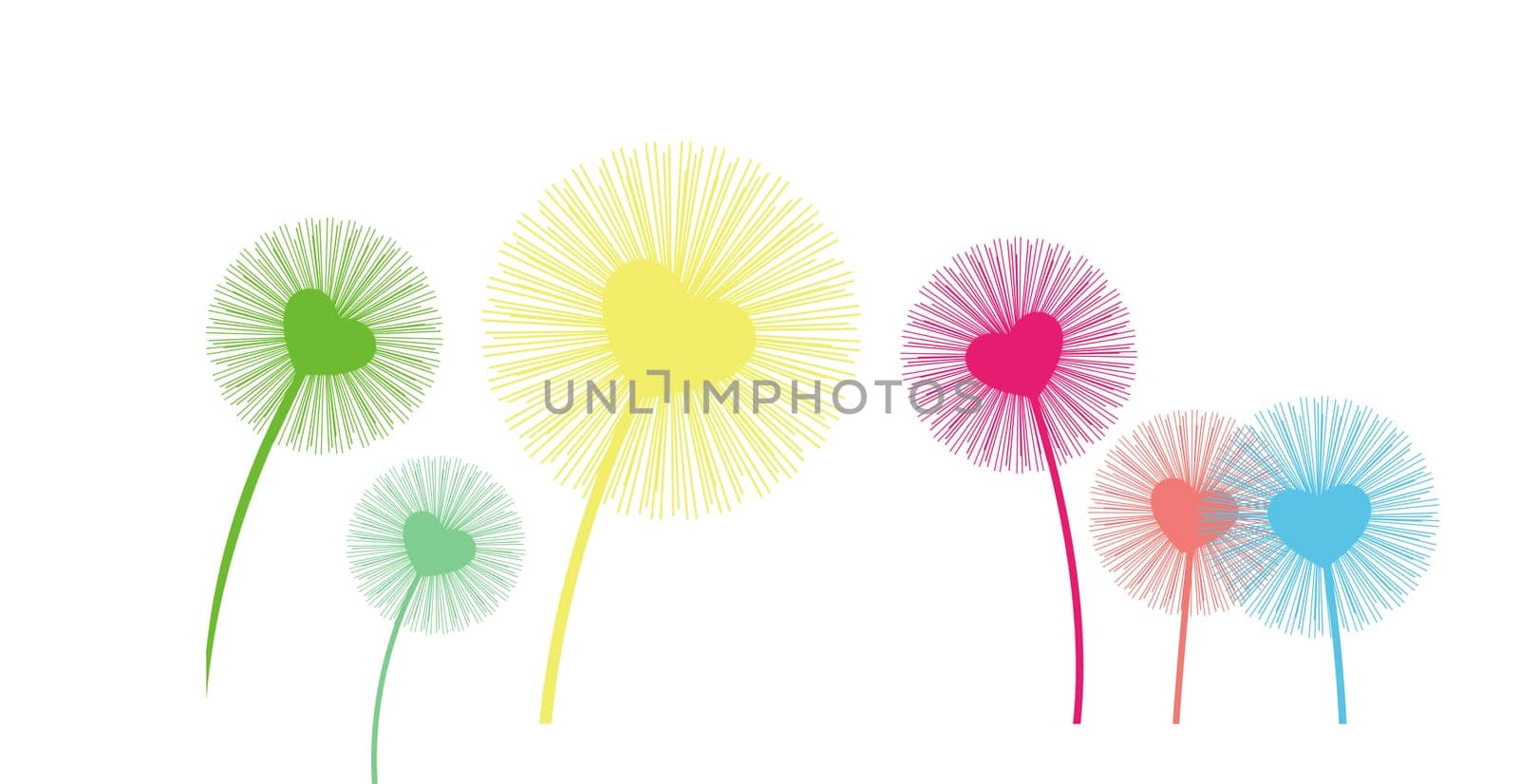 Dandelion