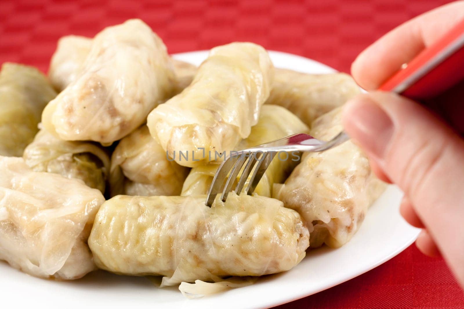 Cabbage rolls
