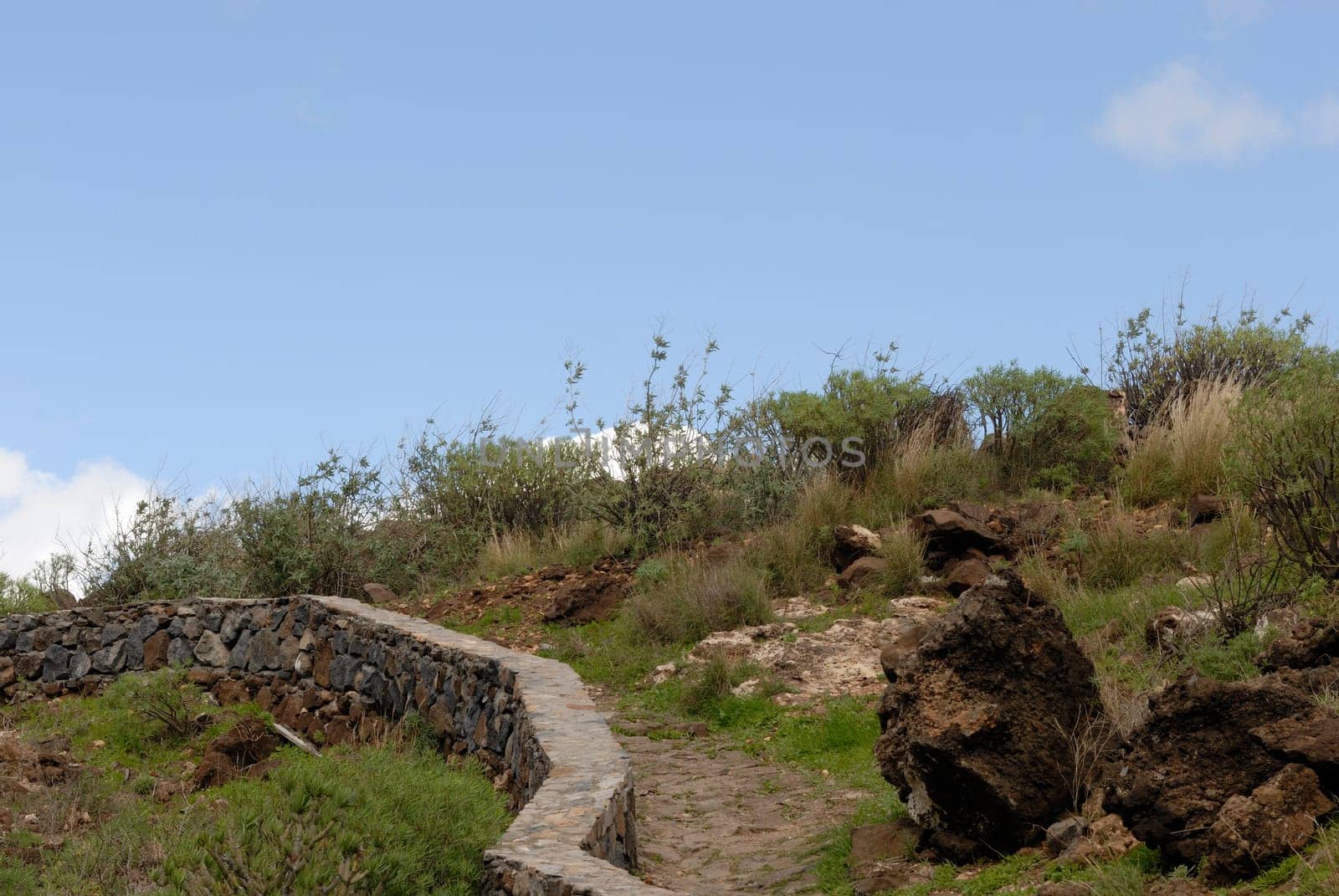 Path 1