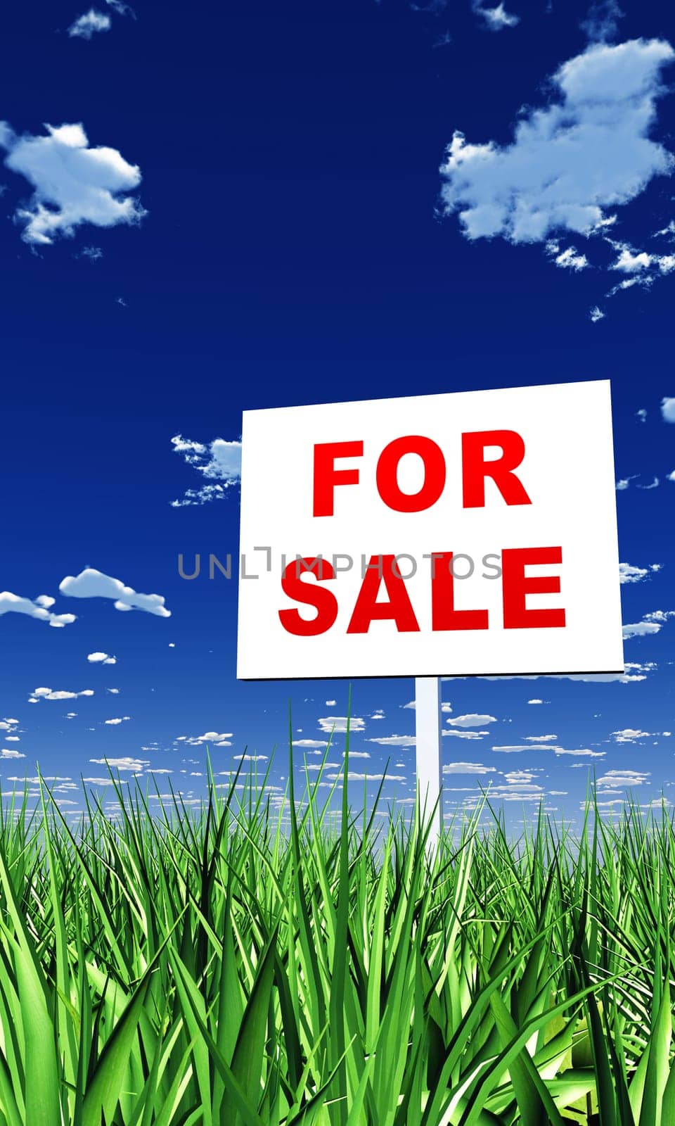 Shield in the Grass - For Sale 02