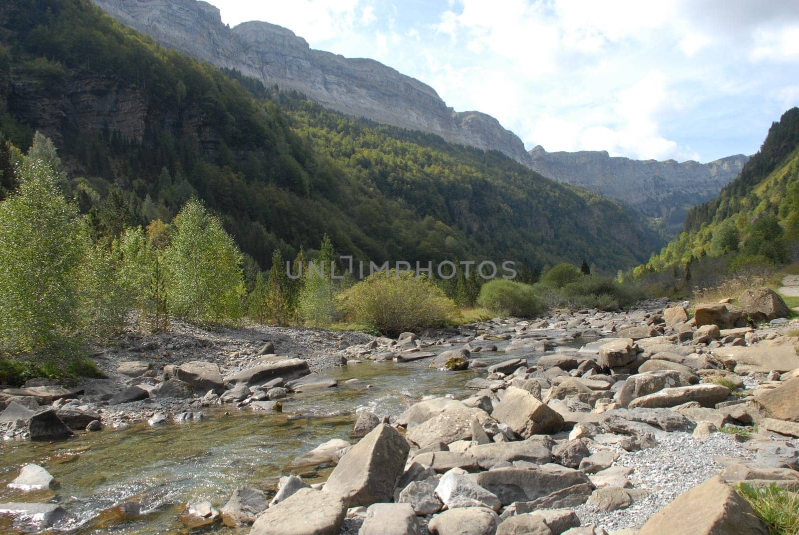 Mountain stream