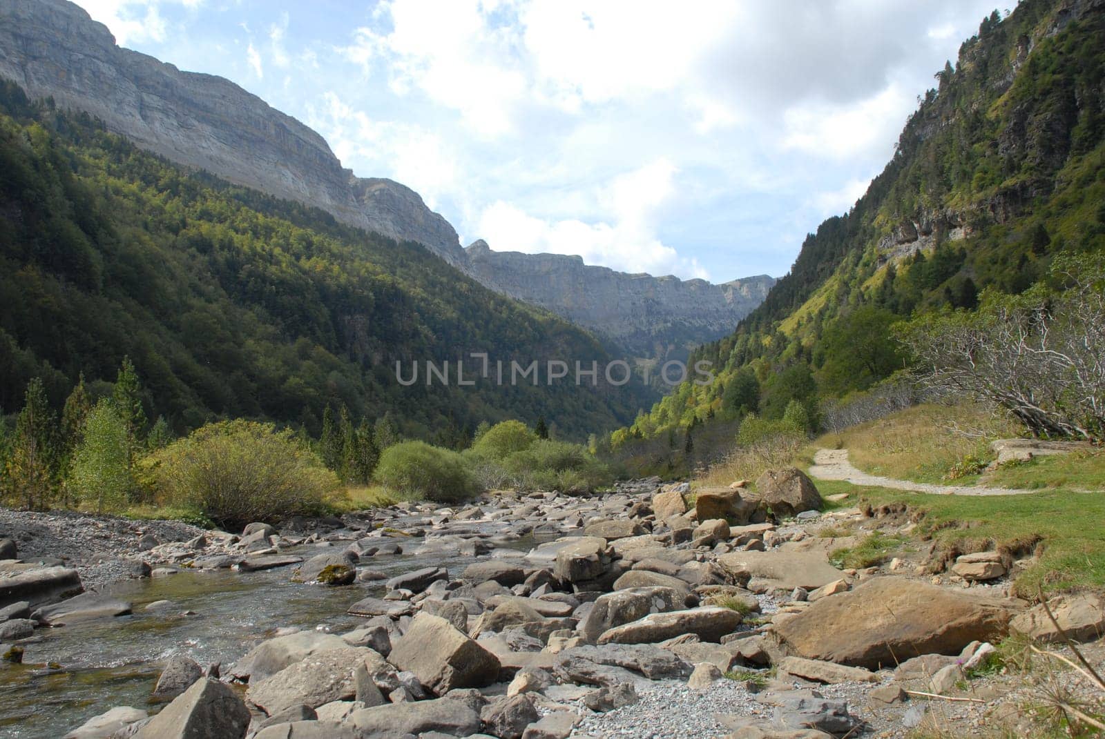 Mountain stream