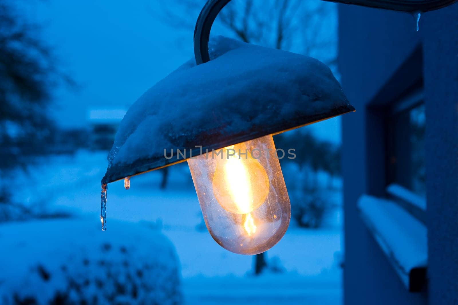 Winter Evening