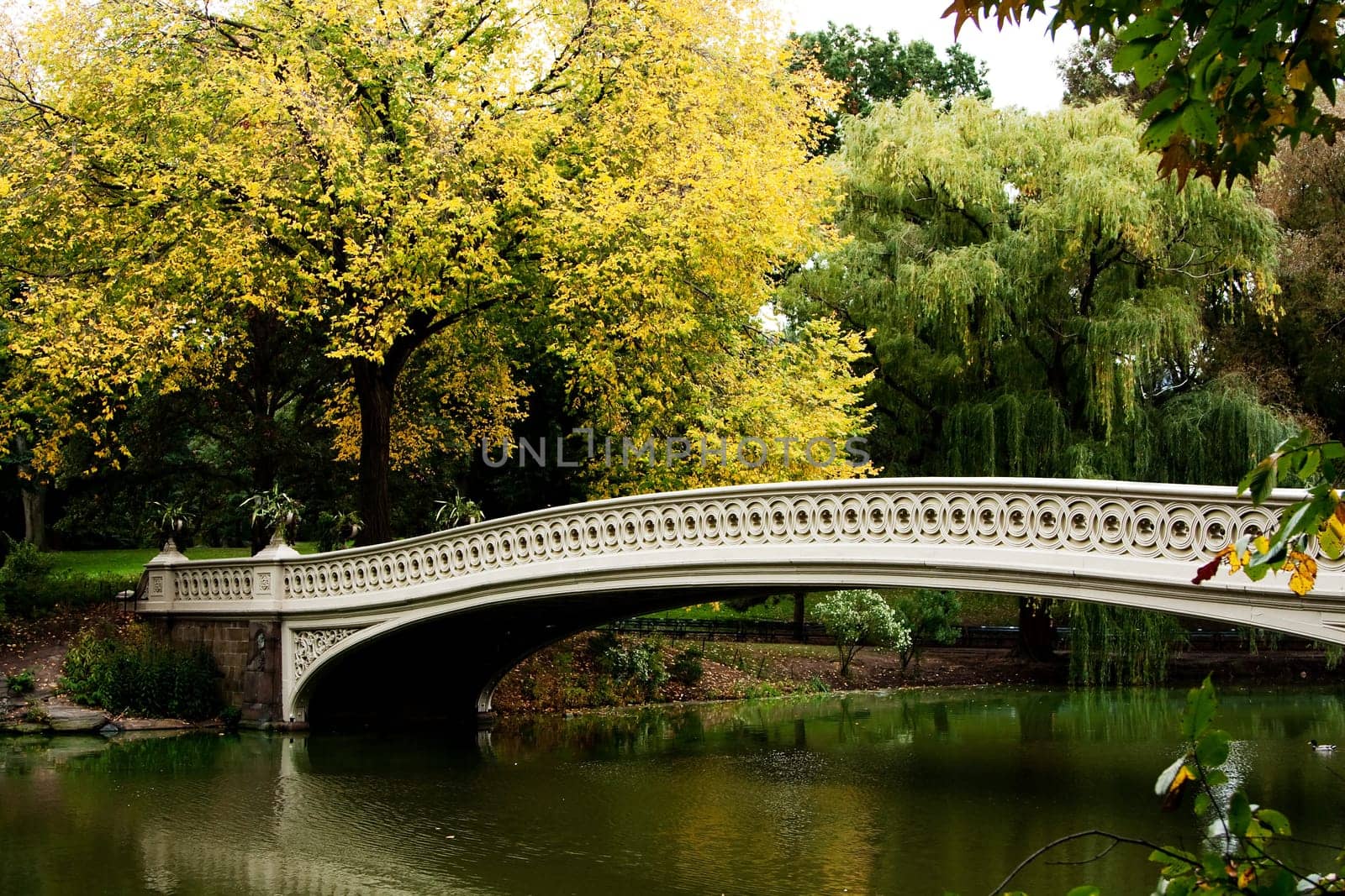 Bridge over lake in fall scenery