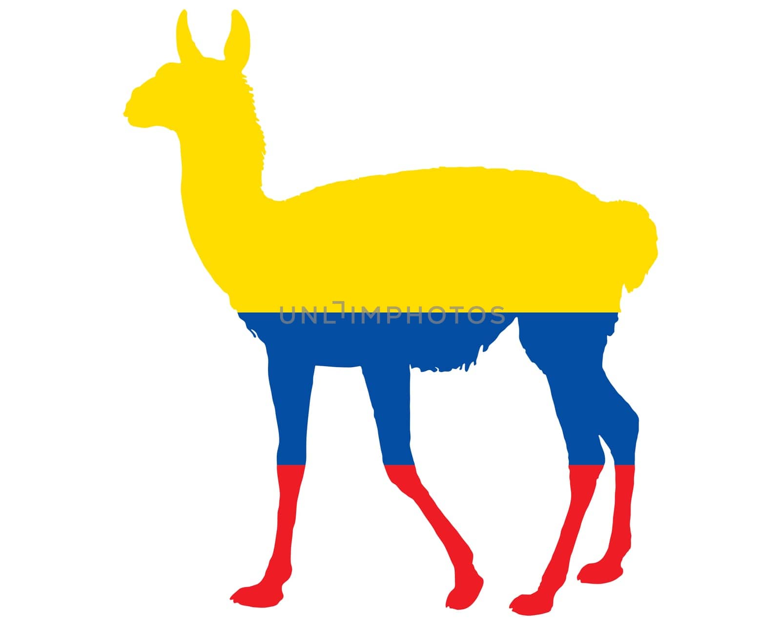 Guanaco Ecuador