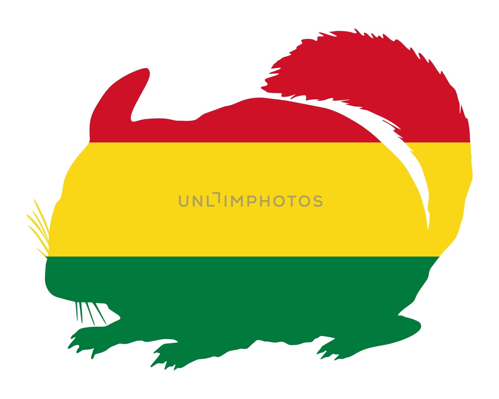 Chinchilla Bolivia