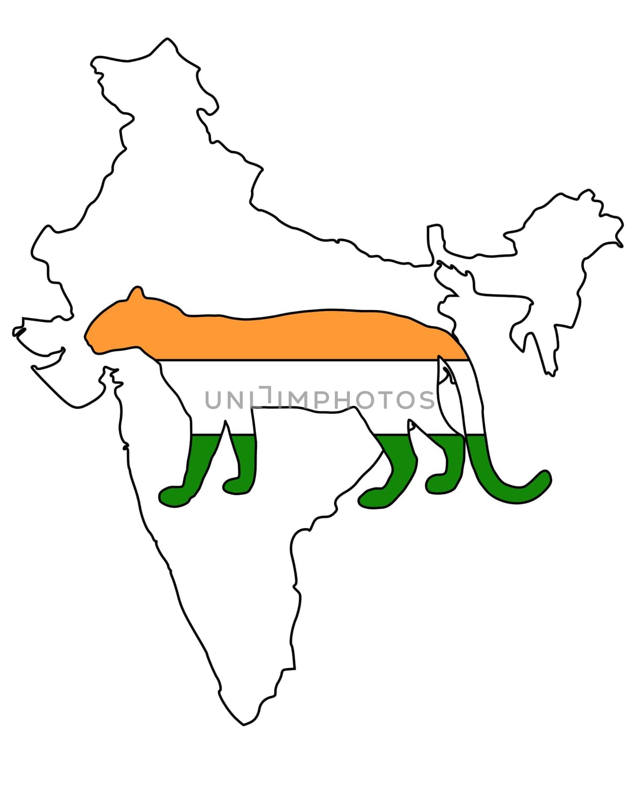 India Leopard