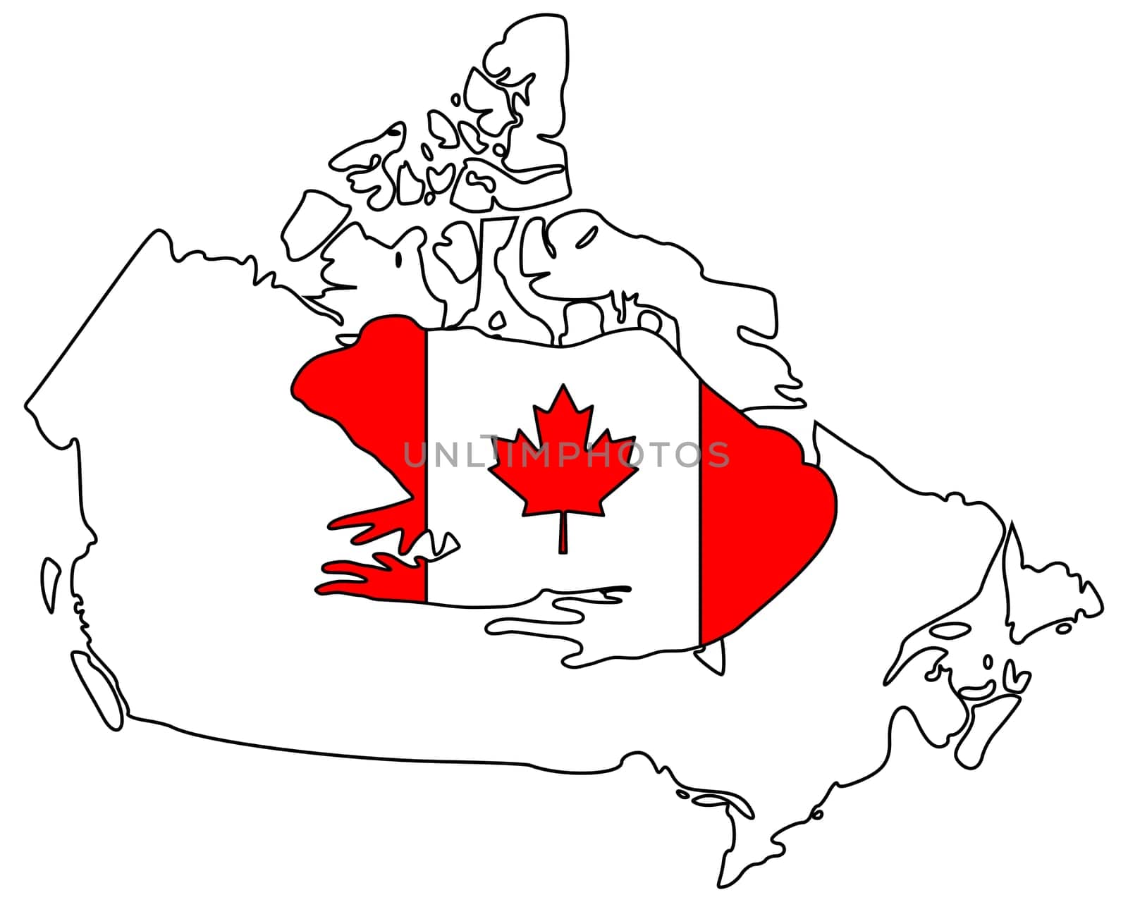 Bullfrog Canada
