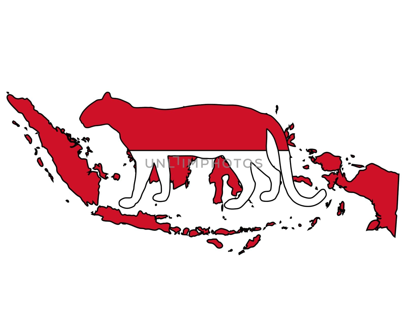 Indonesia Leopard