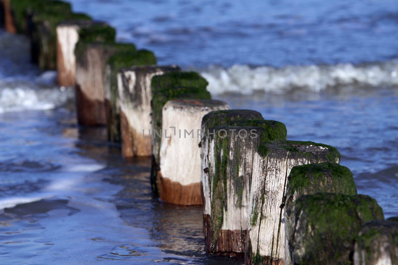 Groynes in the North Sea water