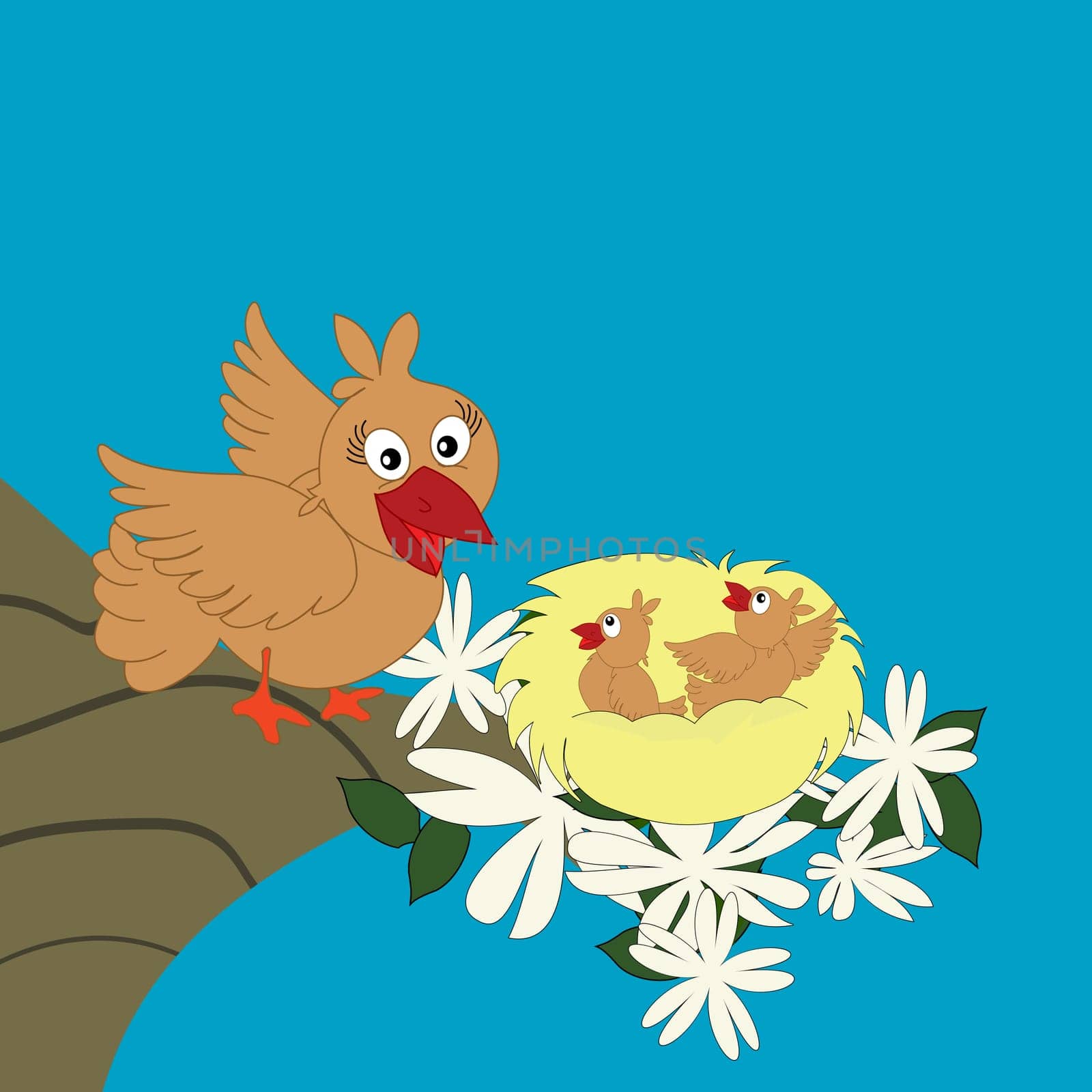 Bird family
