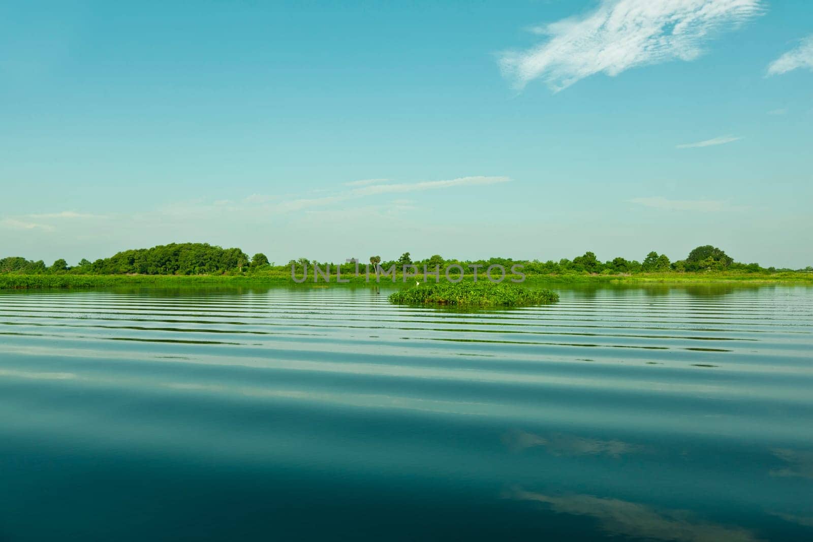 Calm morning on the lake