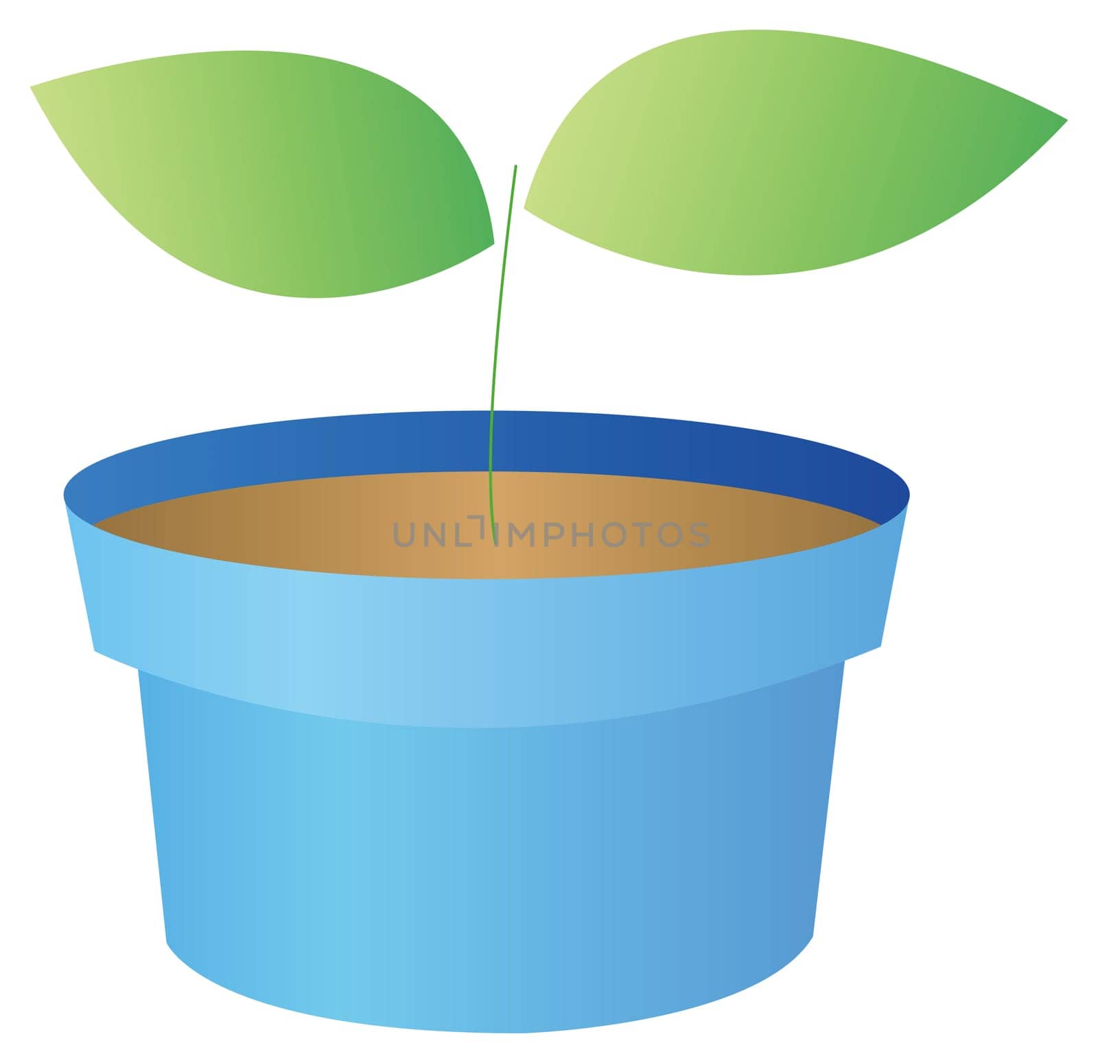 Flowerpots and seeding