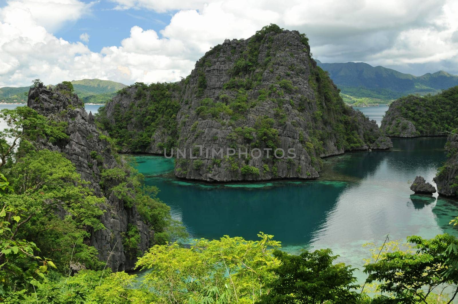 Lake Kayangan near Coron in North Palawan is considered the cleanest lake in the Philippines. We snorkeled there and the water was really crystal clear! The limestone cliffs are actually nothing more than corals. Hundreds of thousands of years ago,the