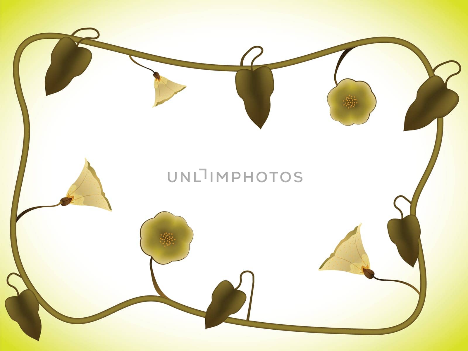 flowers abstract foliage