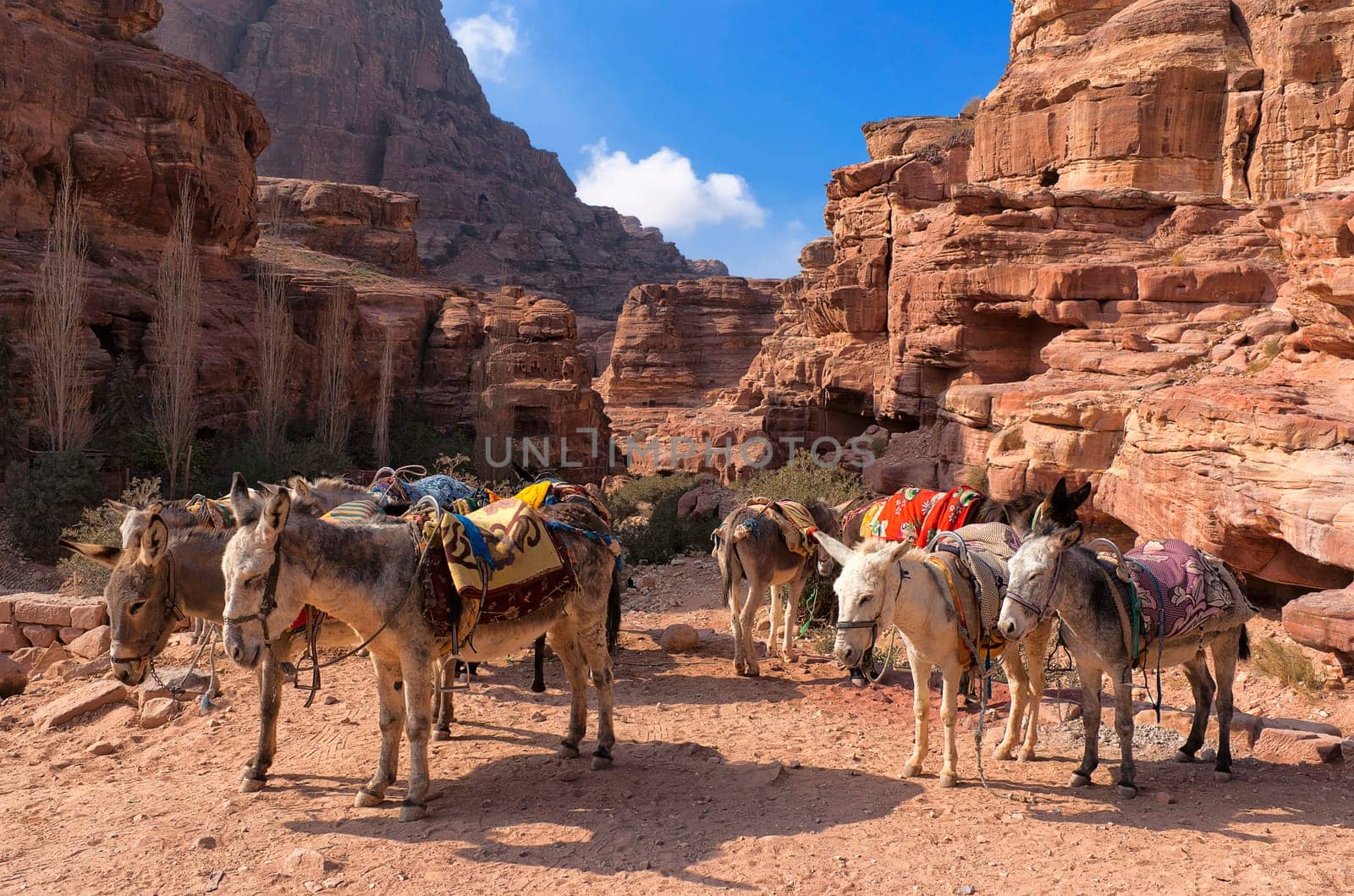 Donkey station to Monastry